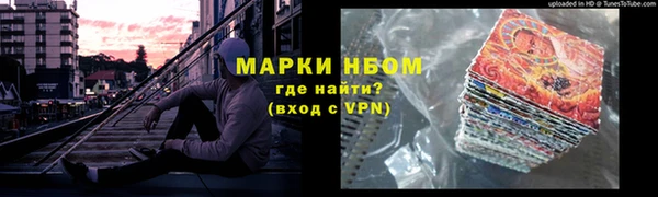 ПСИЛОЦИБИНОВЫЕ ГРИБЫ Новозыбков