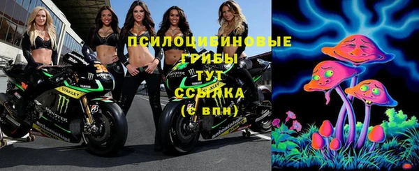 ECSTASY Новокубанск