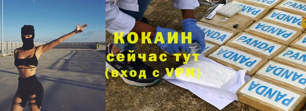 ПСИЛОЦИБИНОВЫЕ ГРИБЫ Новозыбков